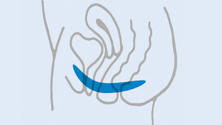Vereinfachte Illustration eines weiblichen Unterleibs mit Beckenboden - Evangelisches Amalie Sieveking Krankenhaus in Hamburg - Beckenbodenschwäche Behandlung