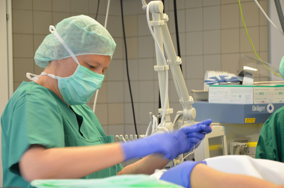 Auf dem Foto bereitet eine Pflegekraft alles für eine Operation vor Auf dem Foto bereitet eine Pflegekraft alles für eine Operation vor